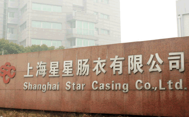 Shanghai Xingxing Gut Co., Ltd Shanghai Xingxing Gut Co., Ltd