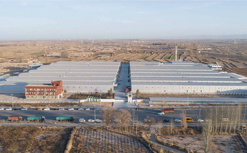 Zhongxing Mushroom Industry Wuwei Edible Fungi Production Base Zhongxing Mushroom Industry Wuwei Edible Fungi Production Base