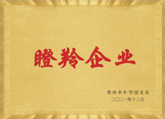 瞪羚企業(yè)